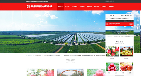 企業(yè)網(wǎng)站、程序軟件App解決方案